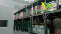 30T Rice Processing Plant in India