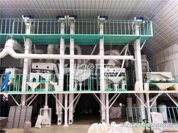 120TPD Beans Cleaning and Selection Processing Plant Delivered to America