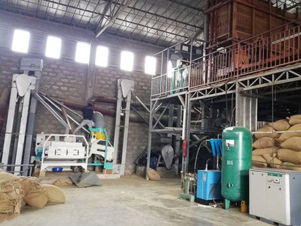 Green Coffee Beans Cleaning Machines ቡና ማጽጃ ማሽኖች