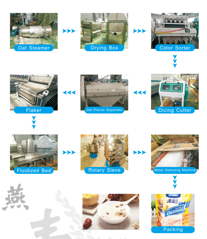 Oat Flakes Production Line