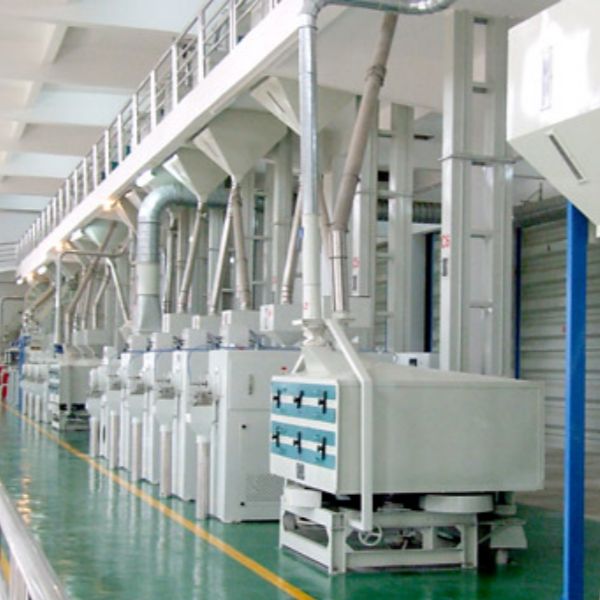 Millet Processing Project