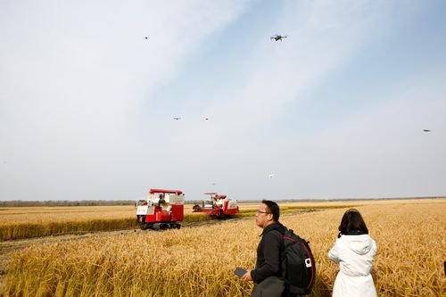 无人智慧农场智能控制技术_Grain Peeling Machinery_无人智慧农场物联网技术