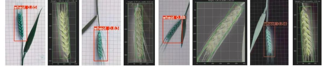 Grain Peeling Machinery_无人智慧农场物联网技术_无人智慧农场智能控制技术