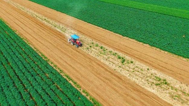The Development Momentum Is Good! Look At The Agricultural And Rural Economic Report Card For The Fi