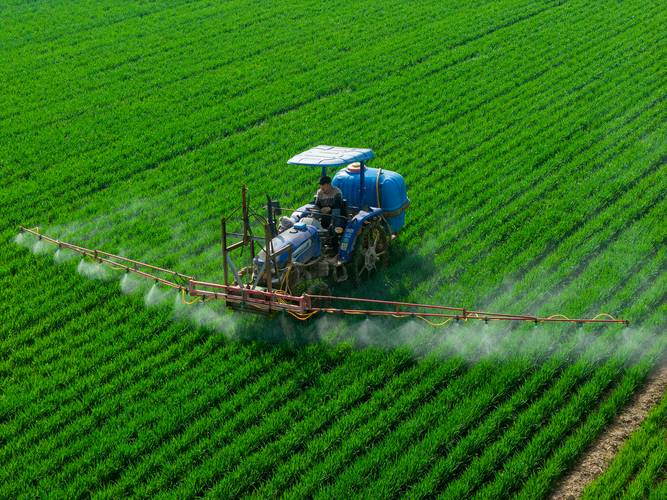 春耕春播农业投资增长_冬小麦长势春播进度分析_Grain Peeling Machinery