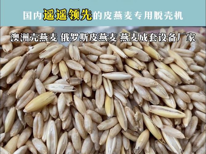 脱壳率与破损率对比_Oat Dehulling Machine_燕麦脱壳机评测