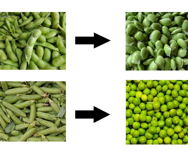 Bean Peeling Machine_commercial bean peeler machine review_best industrial bean dehuller for soybeans